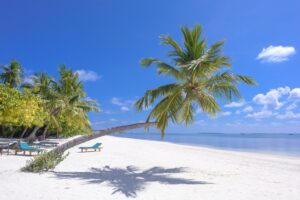 9 Reasons Oceanside Should Be on Your Travel Bucket List This Summer